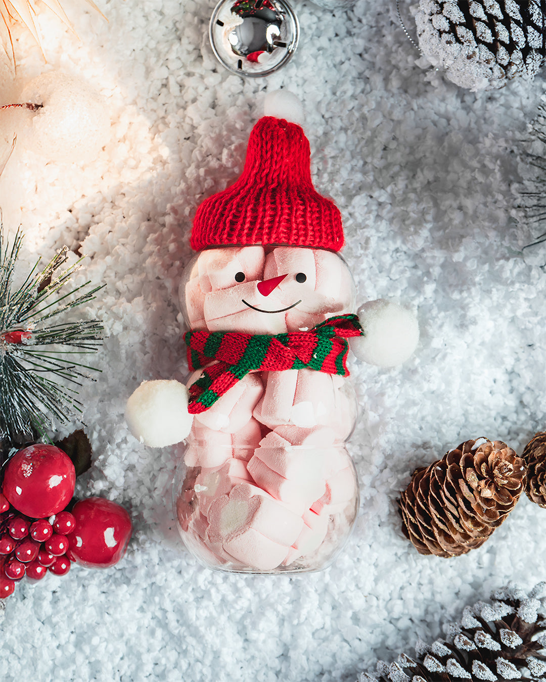 Paquete Envase Mono de Nieve 500ml