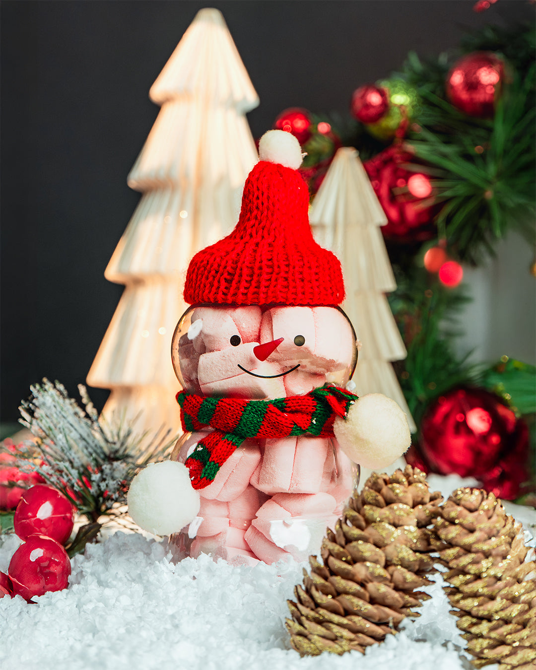 Paquete Envase Mono de Nieve 500ml